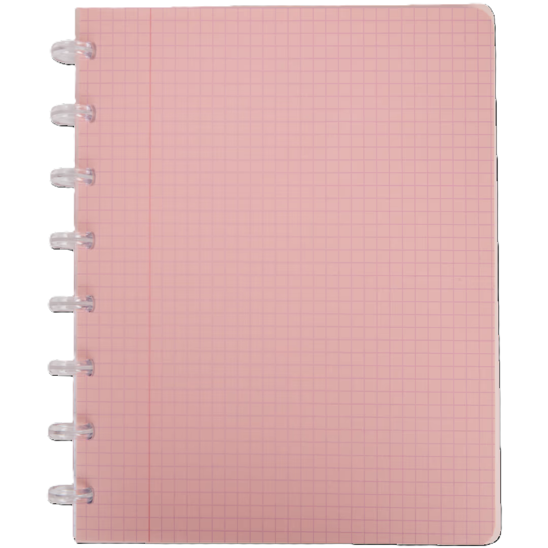 Ringblock kariert 5x5mm A5 144 Blatt 8 Loch v. Farben